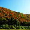 鳴子の手前の右側の紅葉