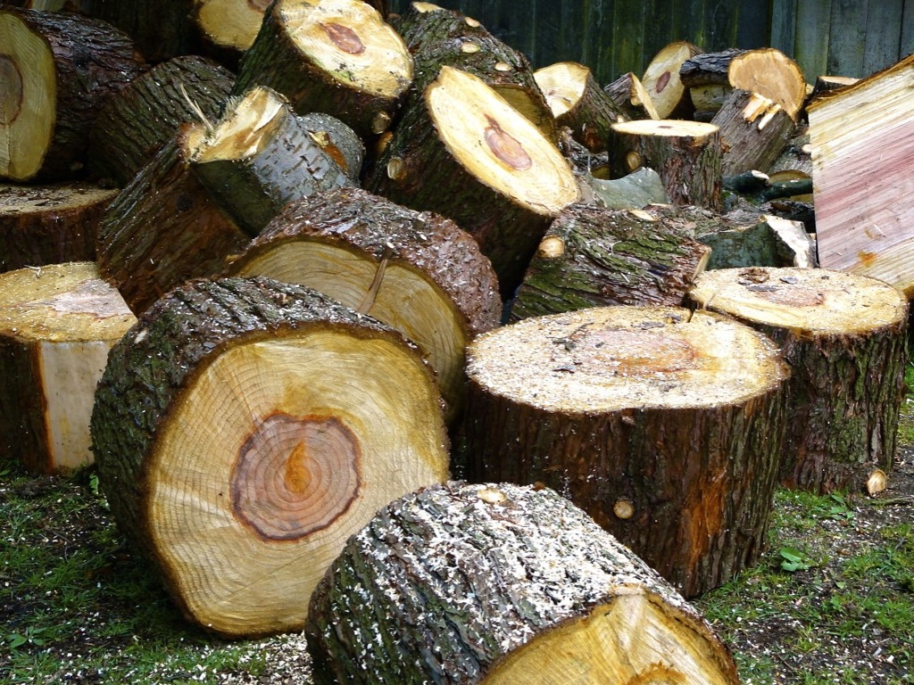 firewood