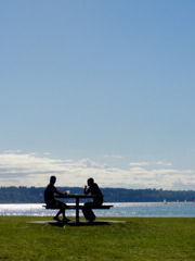 Stanley Park #3