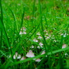 DSC08273