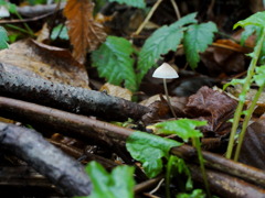 DSC08260