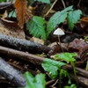 DSC08260