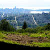 Burnaby Mountain#6