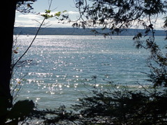 Stanley Park #2