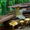 DSC08221