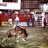 Yee haw!#2
