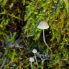 DSC08411