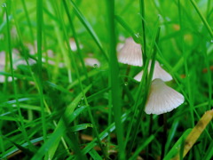 DSC08277