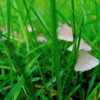 DSC08277