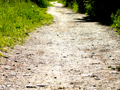 path