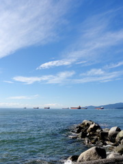 Stanley Park #1