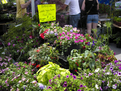 Farmers Market#2