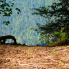 Burnaby Mountain#7