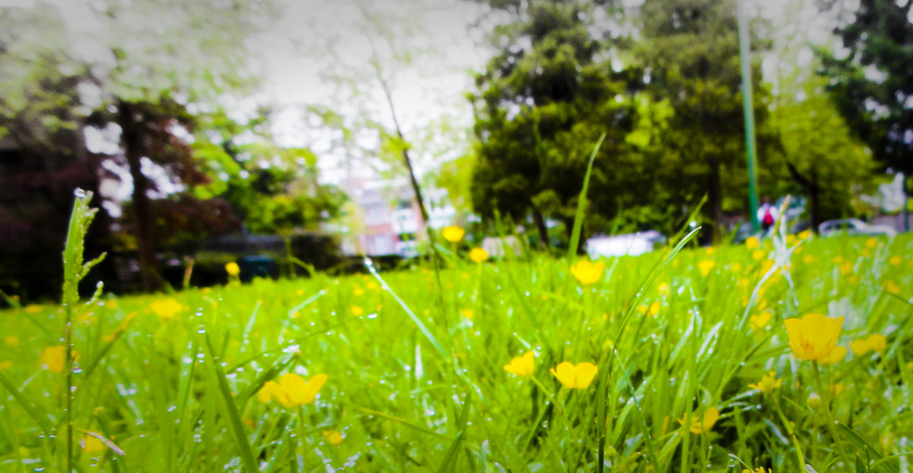 green#2