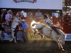 Yee haw!