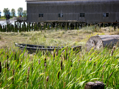 steveston#1