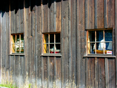 steveston#8