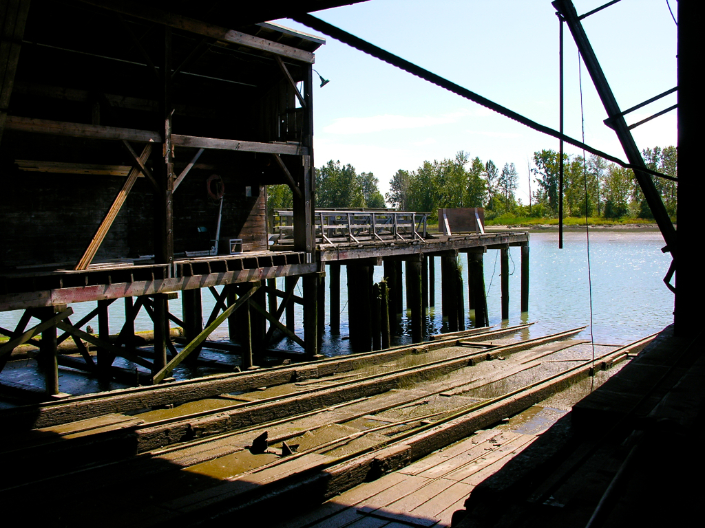 steveston#3