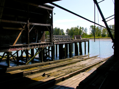 steveston#3