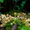 DSC08228