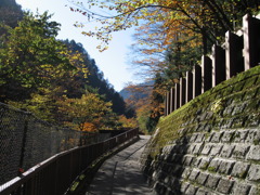 石垣の道