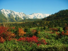 立山　弥陀ヶ原