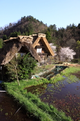 白川郷の春