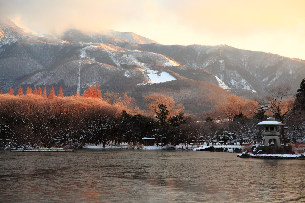 朝日で紅葉？した木々景色