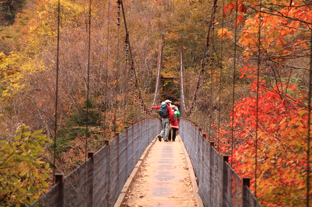 紅葉の中を行く登山者