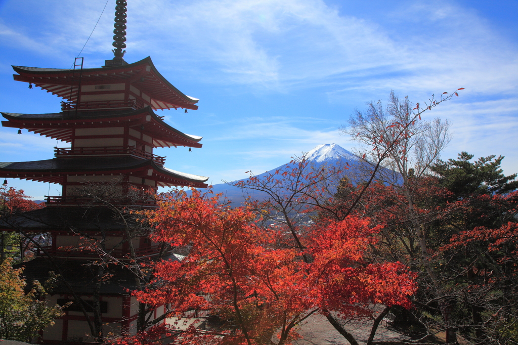 日本の秋