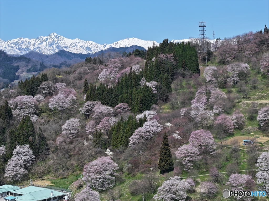 早春の景色