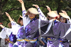 あっぱれ祭り(よさこい②)「民謡風」