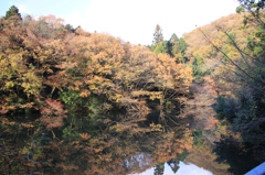 鏡に映る紅葉②