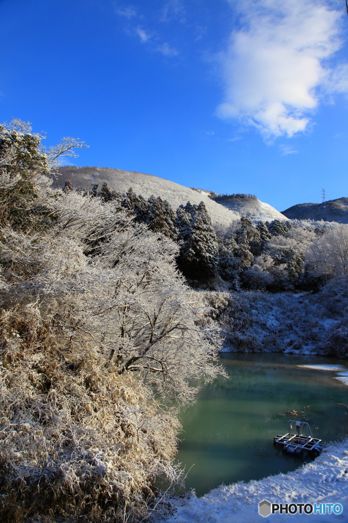 雪化粧