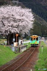 桜の駅