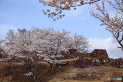 城祉の春