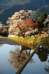 写り込み