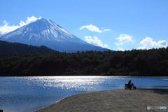 富士の裾野