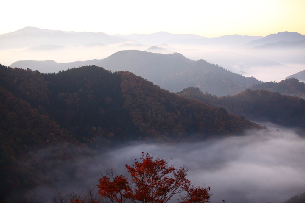 朝霧に包まれて