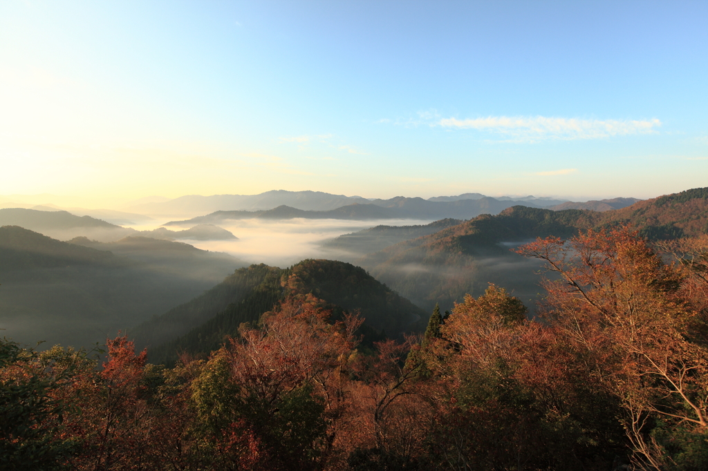 紅葉と雲海①