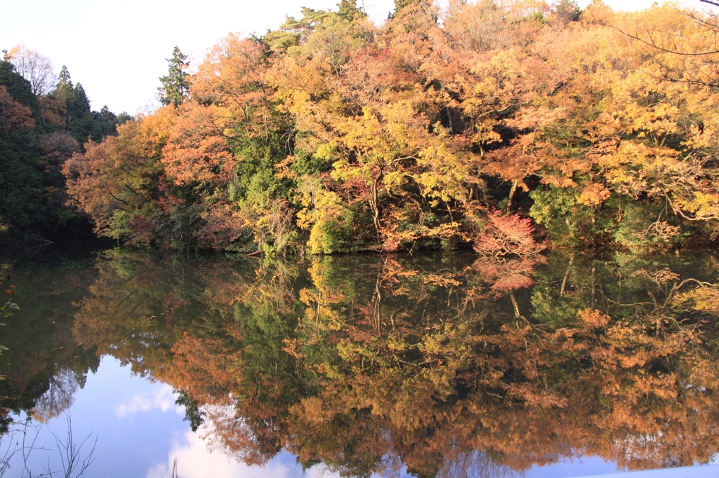 鏡に映る紅葉①
