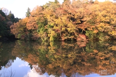 鏡に映る紅葉①