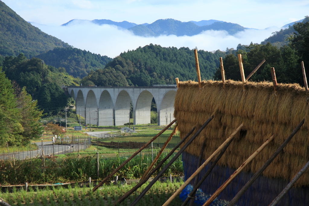 不思議な風景