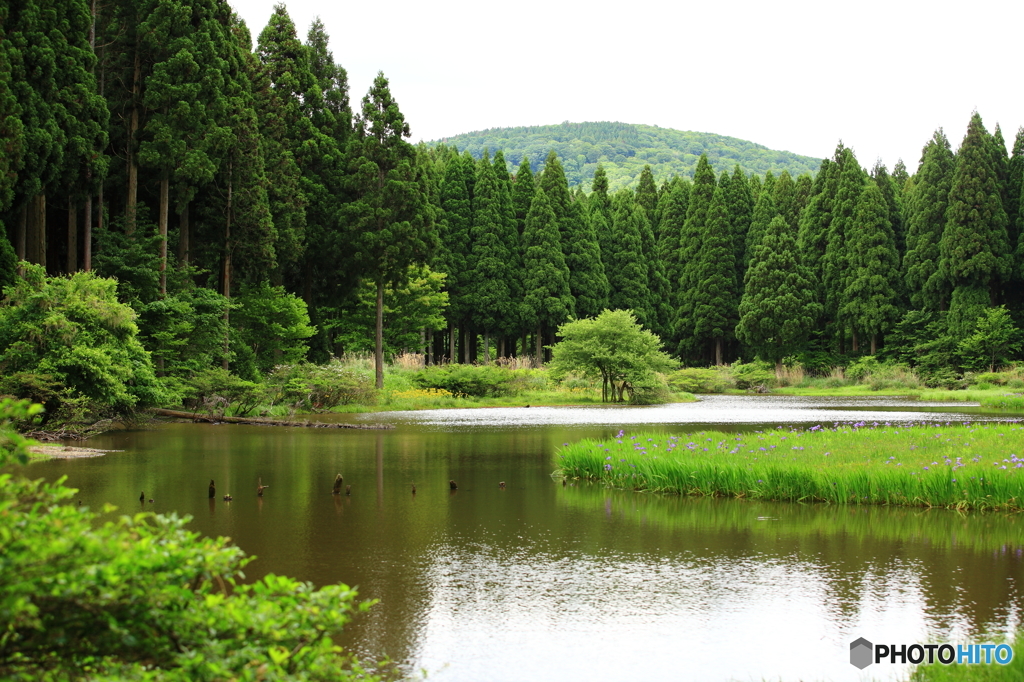 山の池