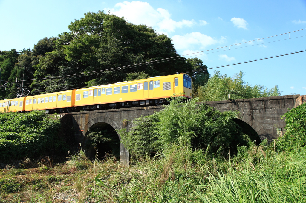 可愛い黄色の電車