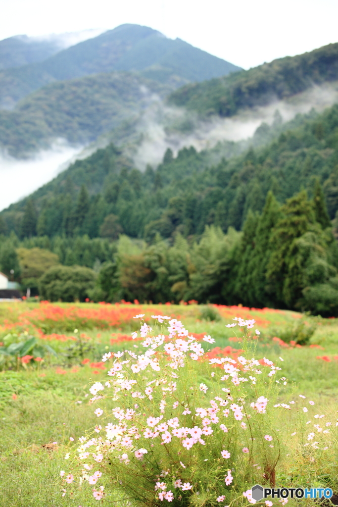 山里の秋