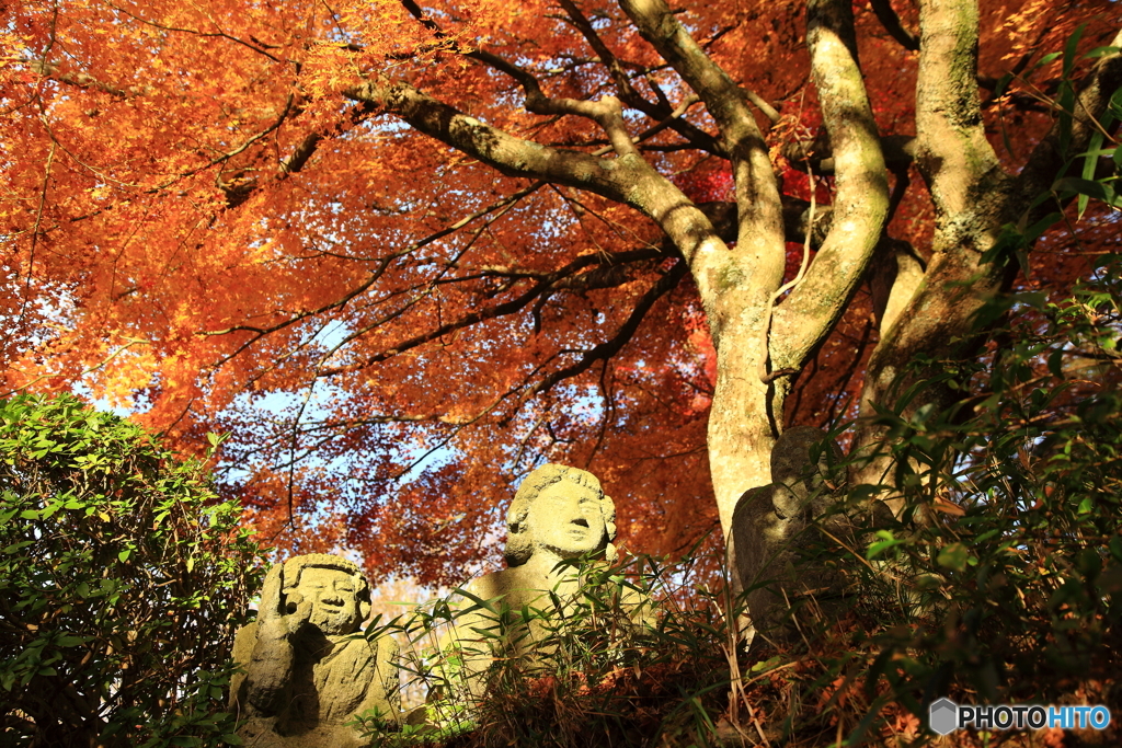 秋の石仏