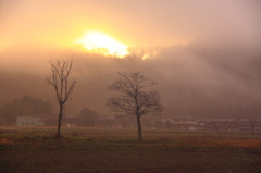 霧の朝日