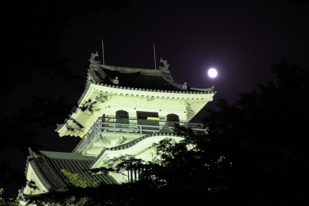 城と月