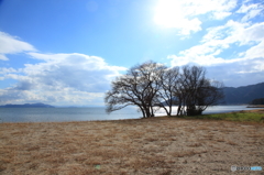 冬の湖岸